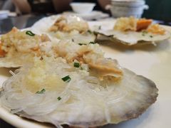 -新锦鸿(演达店)