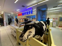 -红星前进面包牛奶公司(君太店)