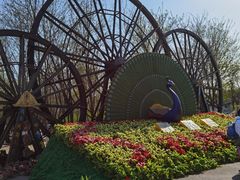 -呀路古热带植物园