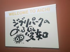 -中部国际机场