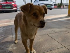 -新金盛·海鲜酒楼(盐田店)