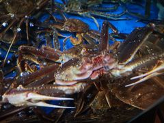 -徐记海鲜(大明宫|北二环店)