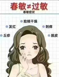 点击看大图 -玛莲朵·海菲秀冰珀科