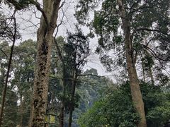 -都江堰普照寺