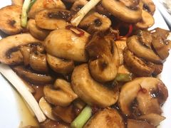 小炒口蘑-眉州东坡·熊猫主题餐厅(枫蓝店)