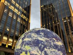 -新荣记(BFC外滩金融中心店)