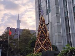 -广州富力丽思卡尔顿酒店