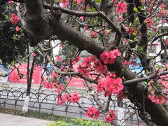-成都市活水公园