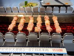呼伦贝尔羊肉串-很久以前羊肉串(长寿路星方汇店)