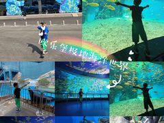 -泉城欧乐堡海洋极地世界