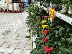 -大润发(王庄店)