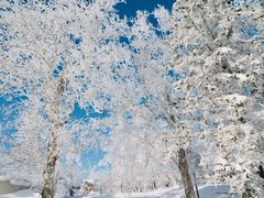 -雪谷