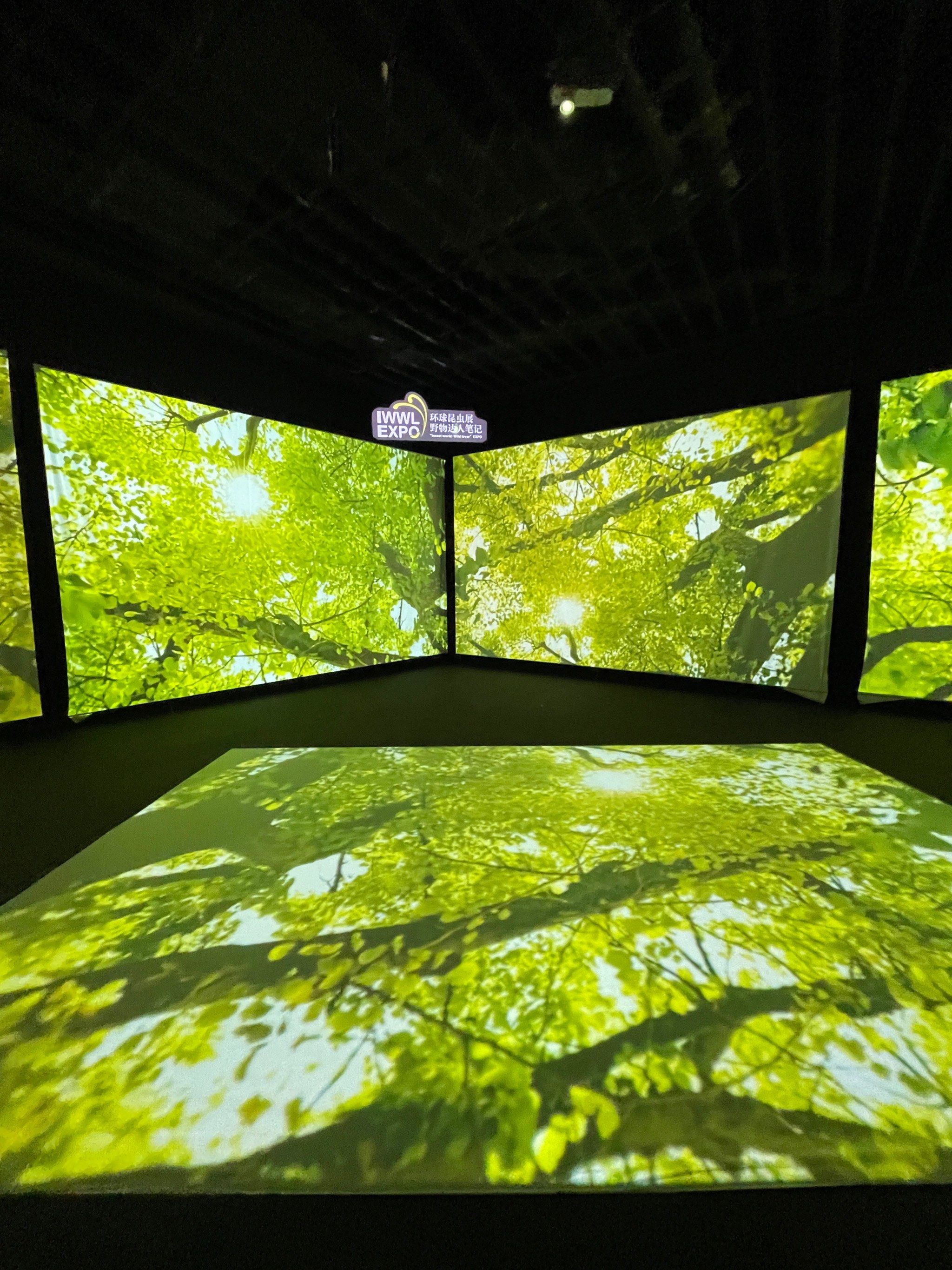 梦幻全息投影!拍照巨巨巨出片📷