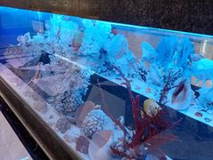 水产区-新海渔港·胶东海鲜家常菜·家宴(奥体中心店)
