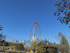 -石家庄市动物园