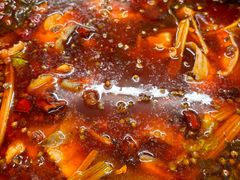 -小饕荟雅安贡椒鱼鲜馆(广福桥店)