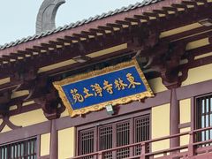-庐山风景名胜区-东林大佛