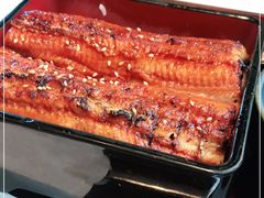 -dodonpa.墩墩伐 便当食堂(博华广场店)