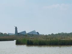 -盐城丹顶鹤湿地生态旅游区