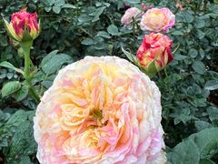 -人民公园(罗湖区)