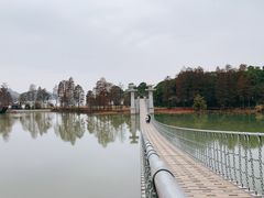 -东湖落雁景区
