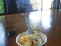 芒果冰淇淋-猫屎咖啡(陶溪川店)