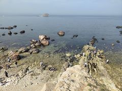 -养马岛旅游度假区