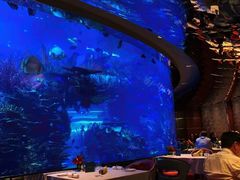 -迪拜帆船酒店海底餐厅