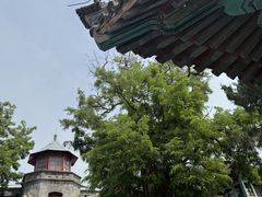-莲池书院博物馆