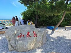 -小麦岛公园