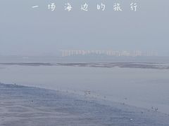 -深圳人才公园