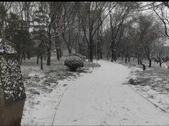 -南长河公园