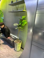 -不迫先生专业男士剪发