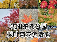 -沈阳市东陵公园