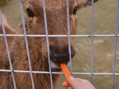 -武汉紫薇都市田园