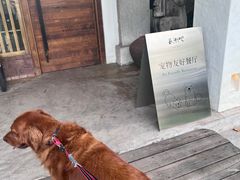 -喜洲吧·江畔老船厂·庭院餐厅(喜临院店)
