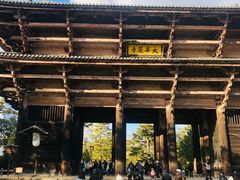 -奈良公园