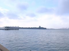 -金鸡湖桃花岛