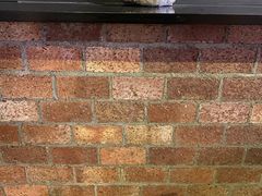 -土蚝·高压锅生蚝(百姓美食街店)