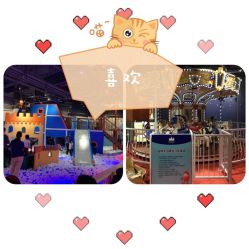 -幻贝家儿童乐园(苏州中心店)