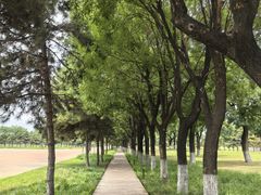 -汉长安城未央宫国家考古遗址公园