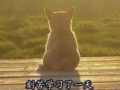 -星巴克臻选(盐城金鹰聚龙湖店)