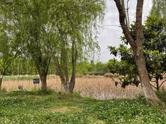 -白鹭湾湿地公园