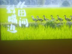 -杨厨的田园饭店(长城路店)