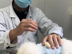 -莘程宠物医院(金山店)