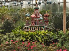 -南宫五洲植物乐园