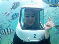 -东姑阿都拉曼海洋公园