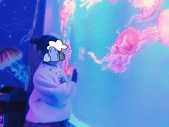 -多彩贵州城极地海洋世界