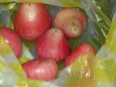 -幸福姐海鲜大排档