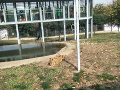 -西安秦岭野生动物园